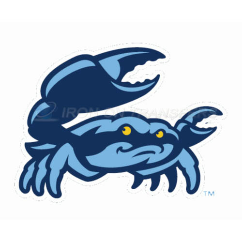 Charlotte StoneCrabs Iron-on Stickers (Heat Transfers)NO.7885